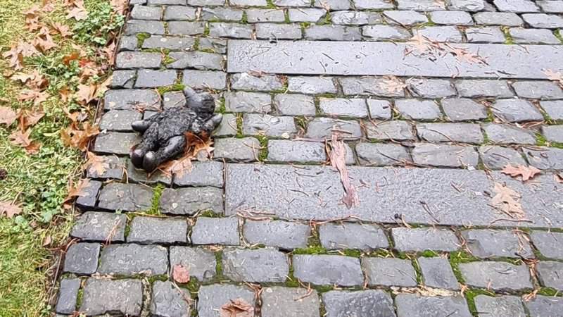 The world moves on, but a teddy bear reminds us of what should never be forgotten