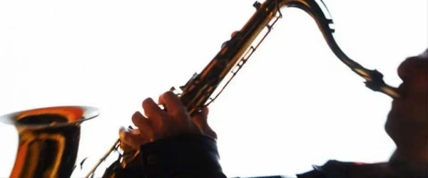 Musician seeks work & accommodation