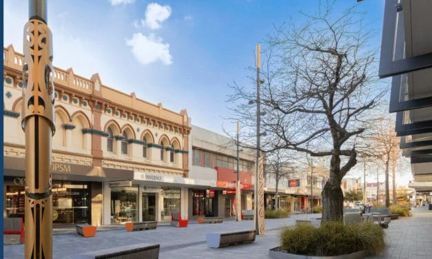 Invercargill council vote hailed by PSNA as step towards BDS