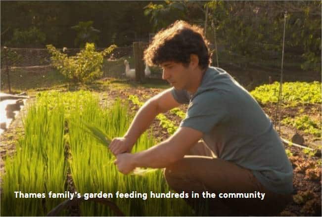 Thames family’s market garden capable of feeding hundreds of people
