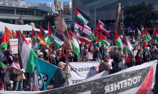 Opinion: It’s not really about Palestine